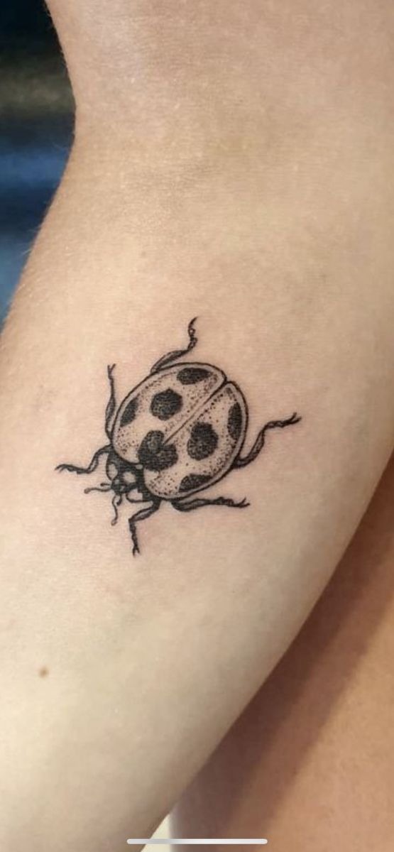 Black and White Dotwork Ladybug Tattoo Tattoo Design