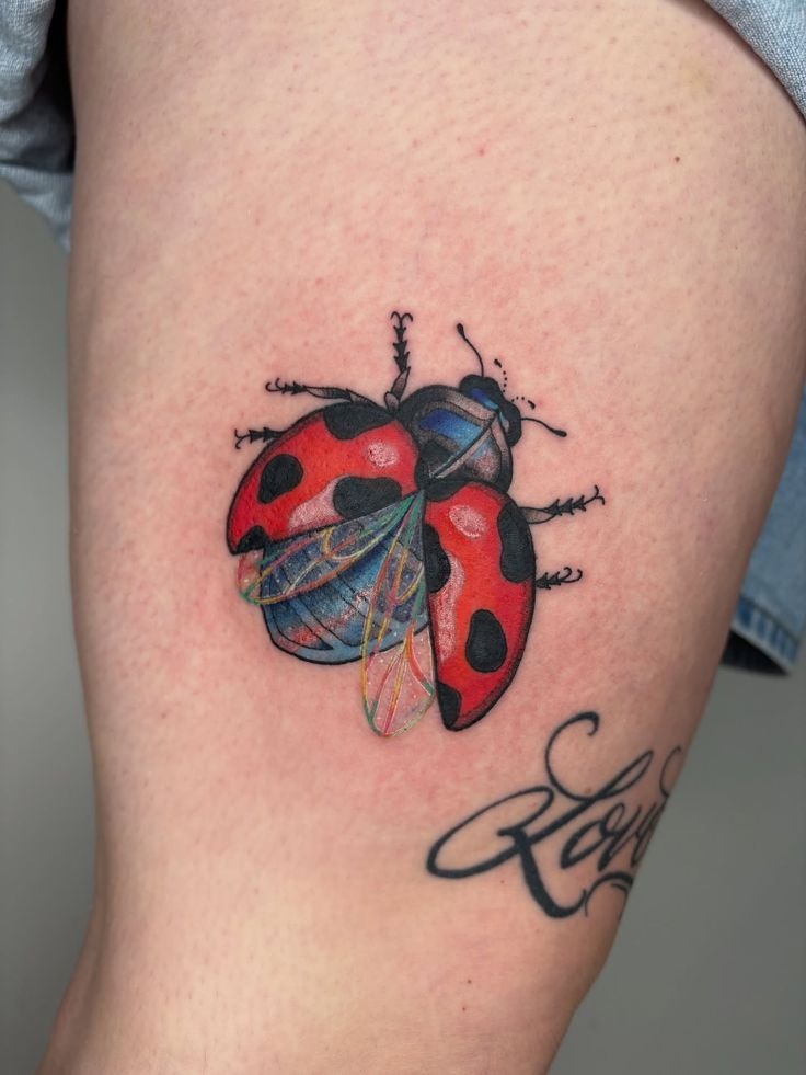 Colorful Realistic Ladybug With Open Wings Tattoo Tattoo Design