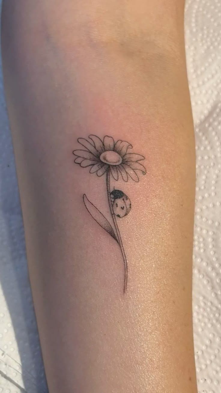 Fine Line Daisy and Tiny Ladybug Tattoo Tattoo Design