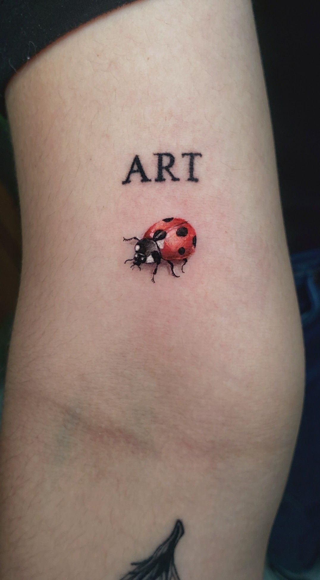 Ladybug Tattoo With ART Lettering Tattoo Design