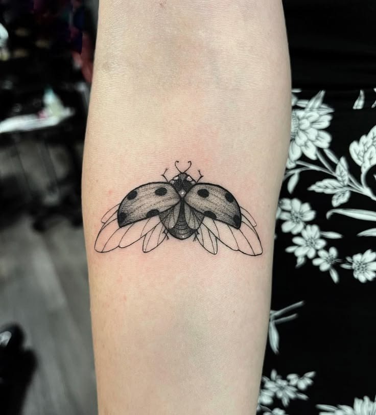 Open-Wing Blackwork Ladybug Tattoo Tattoo Design