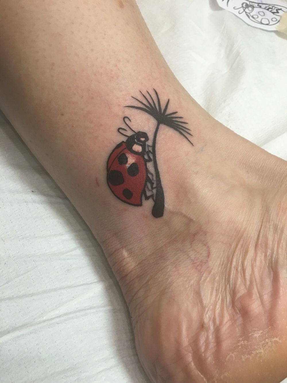 Red Ladybug Climbing a Dandelion Stem Tattoo Tattoo Design