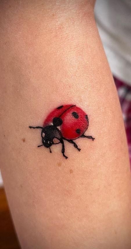 Small Bright Red Ladybug Tattoo Tattoo Design