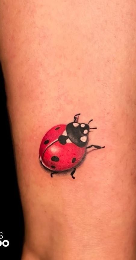 Tiny Classic Realistic Ladybug Tattoo Tattoo Design