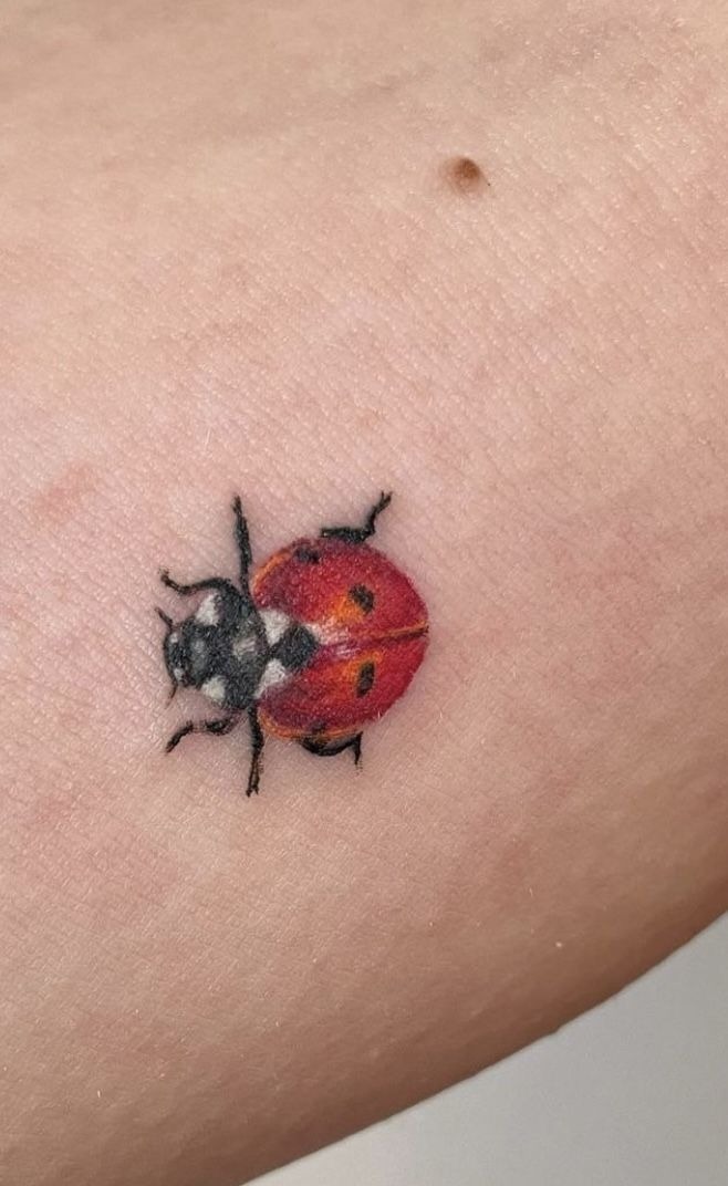 Tiny Realistic Red Ladybug Tattoo Tattoo Design