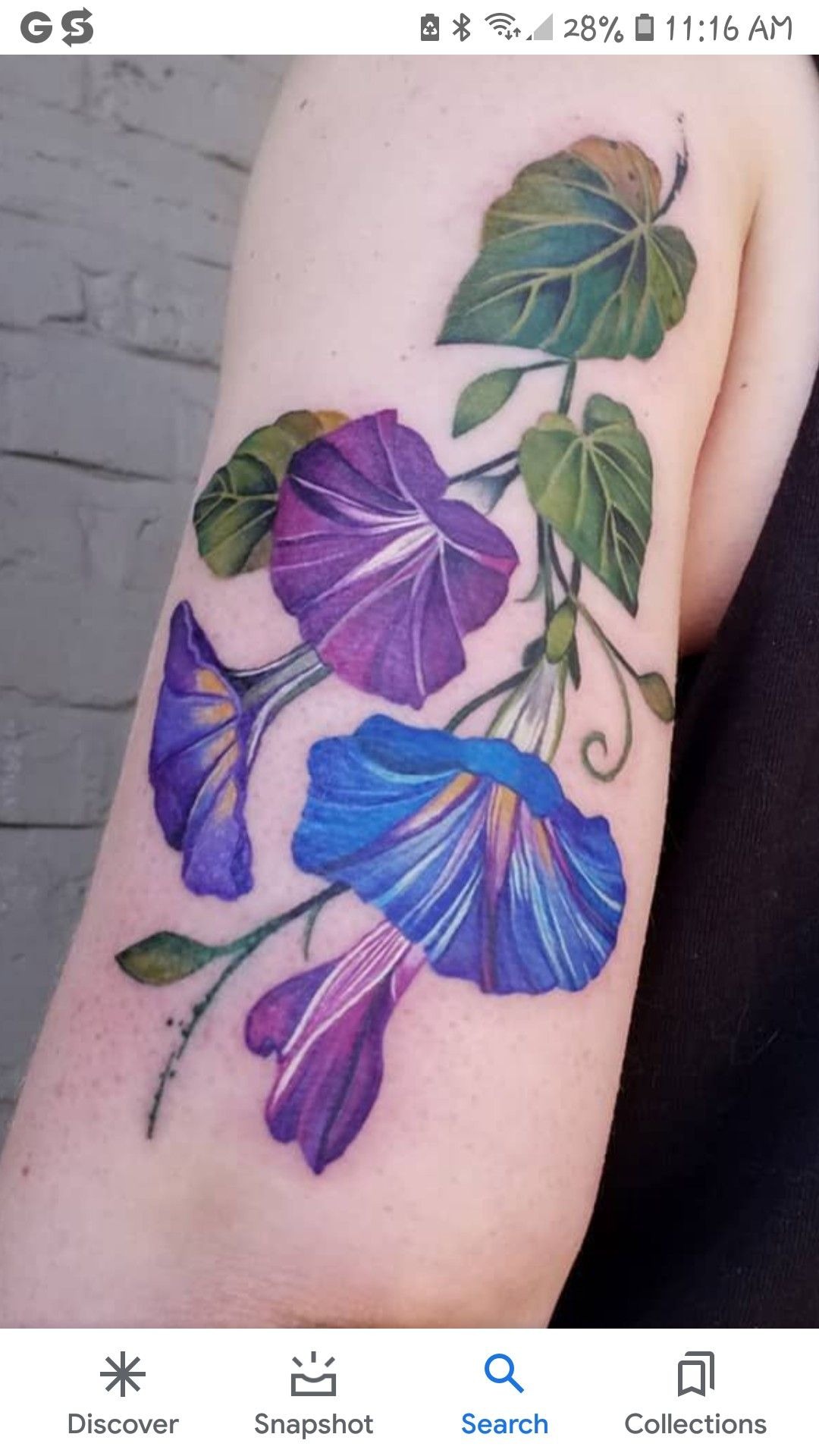 Tiny Morning Glory Sprig at the Collarbone Tattoo Design
