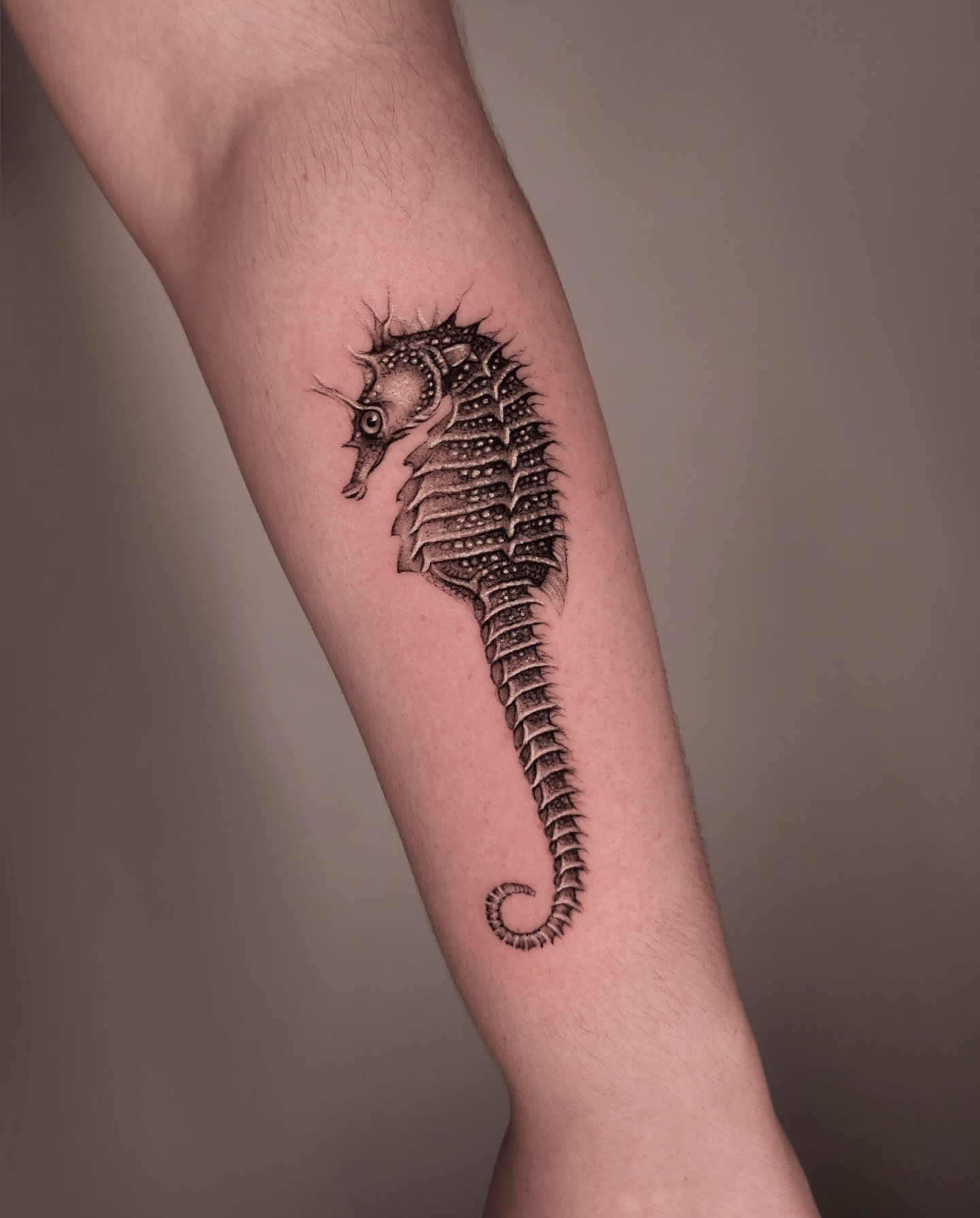 Detailed Seahorse Tattoo Tattoo Design