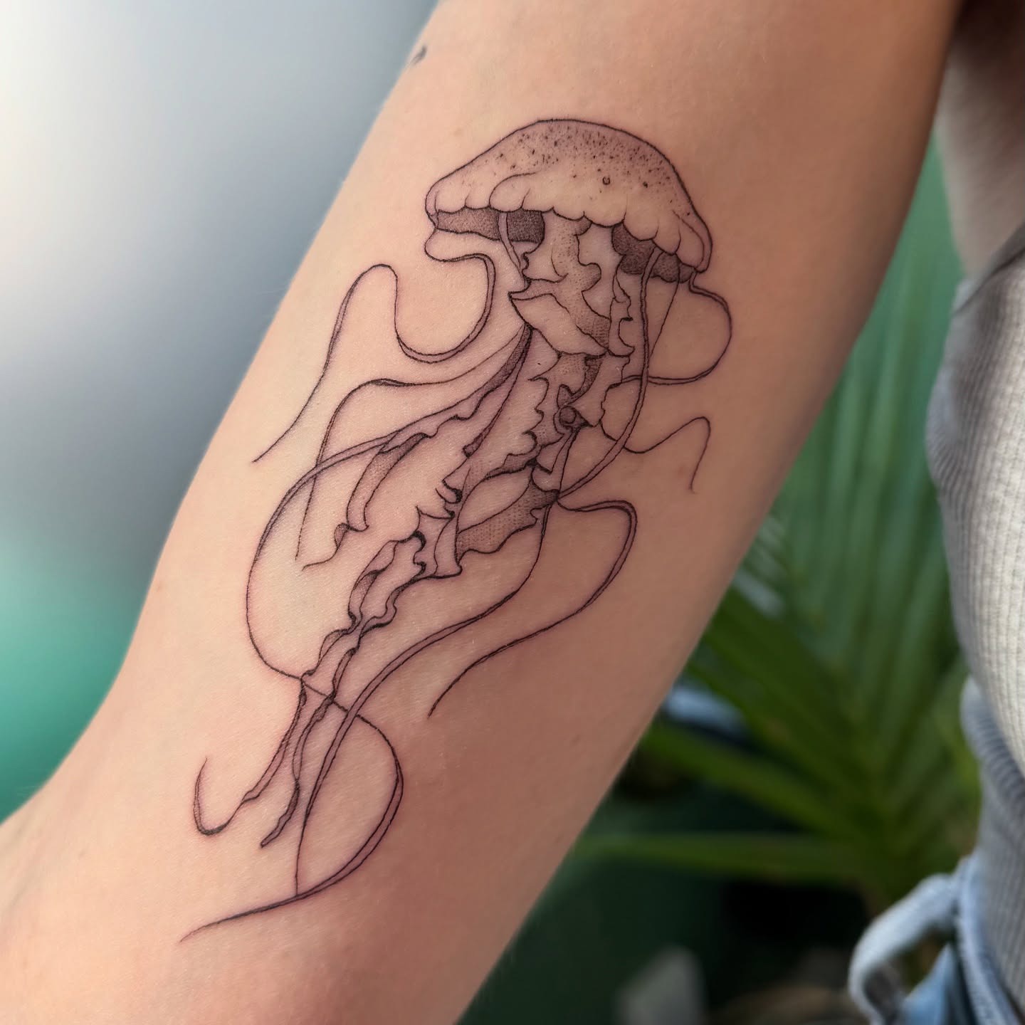 Fine Line Jellyfish Tattoo Tattoo Design