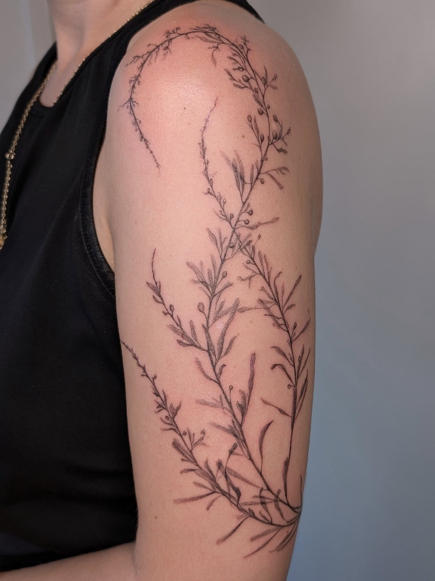 Pressed Wire Weed (Sargassum) Tattoo Tattoo Design