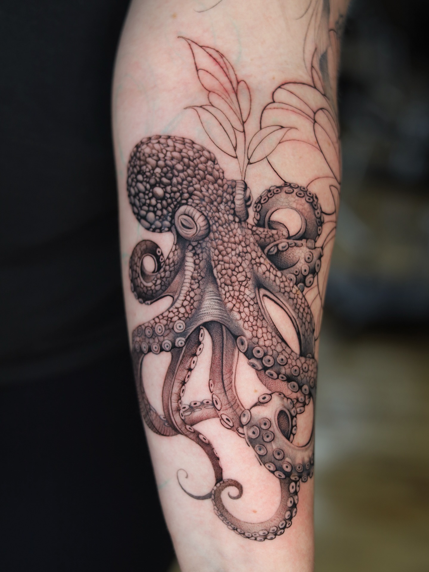 Realistic Octopus Tattoo Tattoo Design