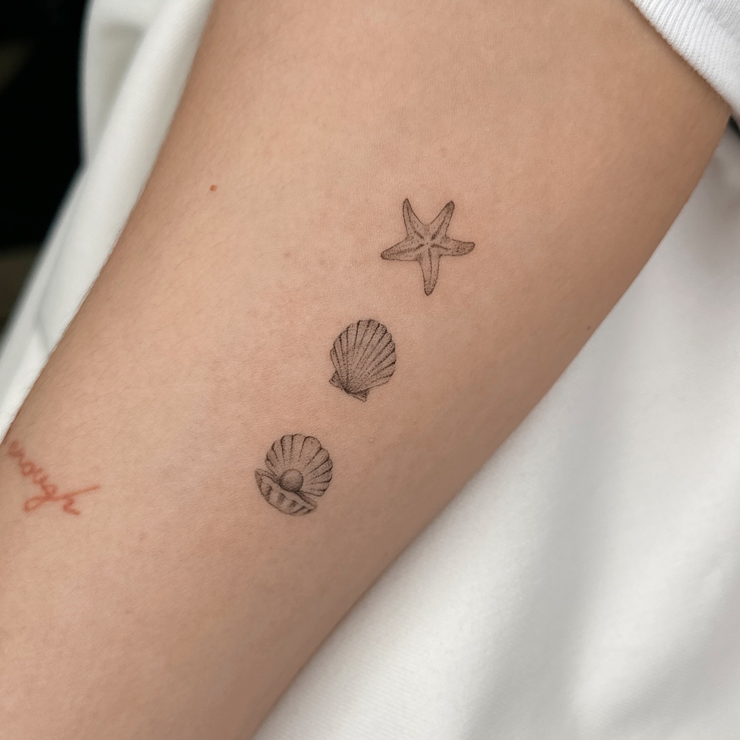 Seashell and Starfish Tattoo Tattoo Design