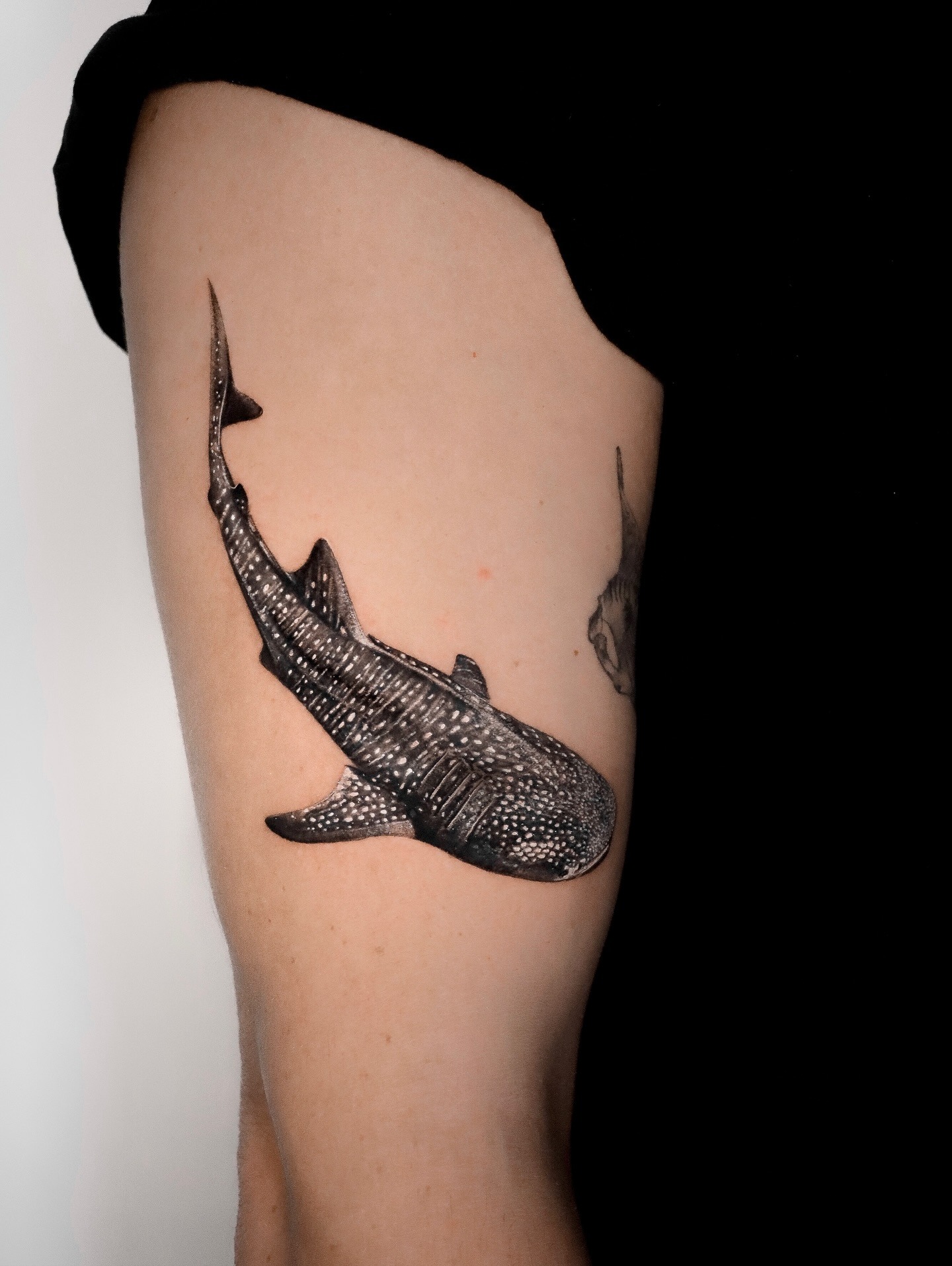 Whale Shark Ocean Tattoo Tattoo Design