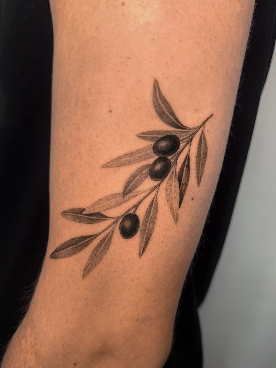 Artful olive branch tattoo on the forearm Tattoo Design