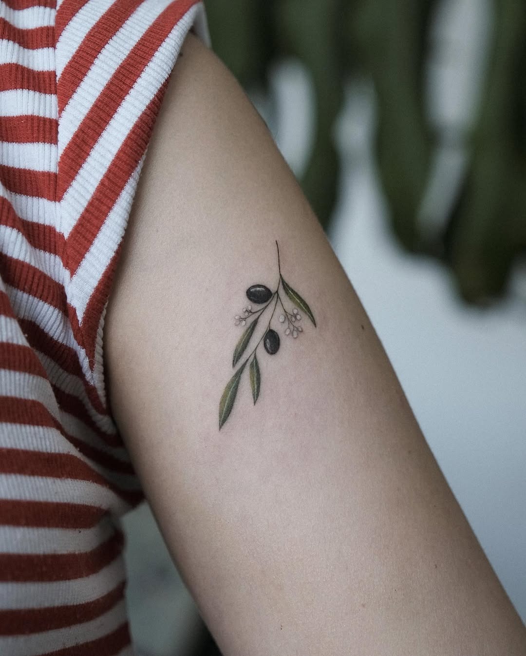 Charming Olive Branch Tattoo with Minimalist Style Tattoo Design