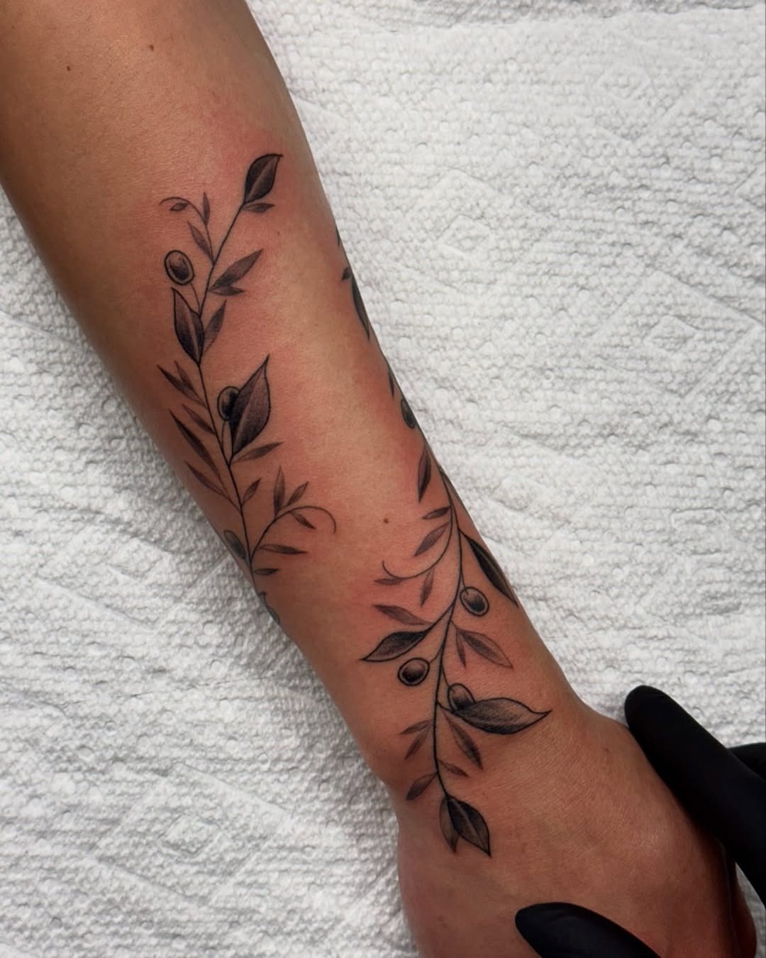 Elegant olive branch tattoo design on forearm Tattoo Design