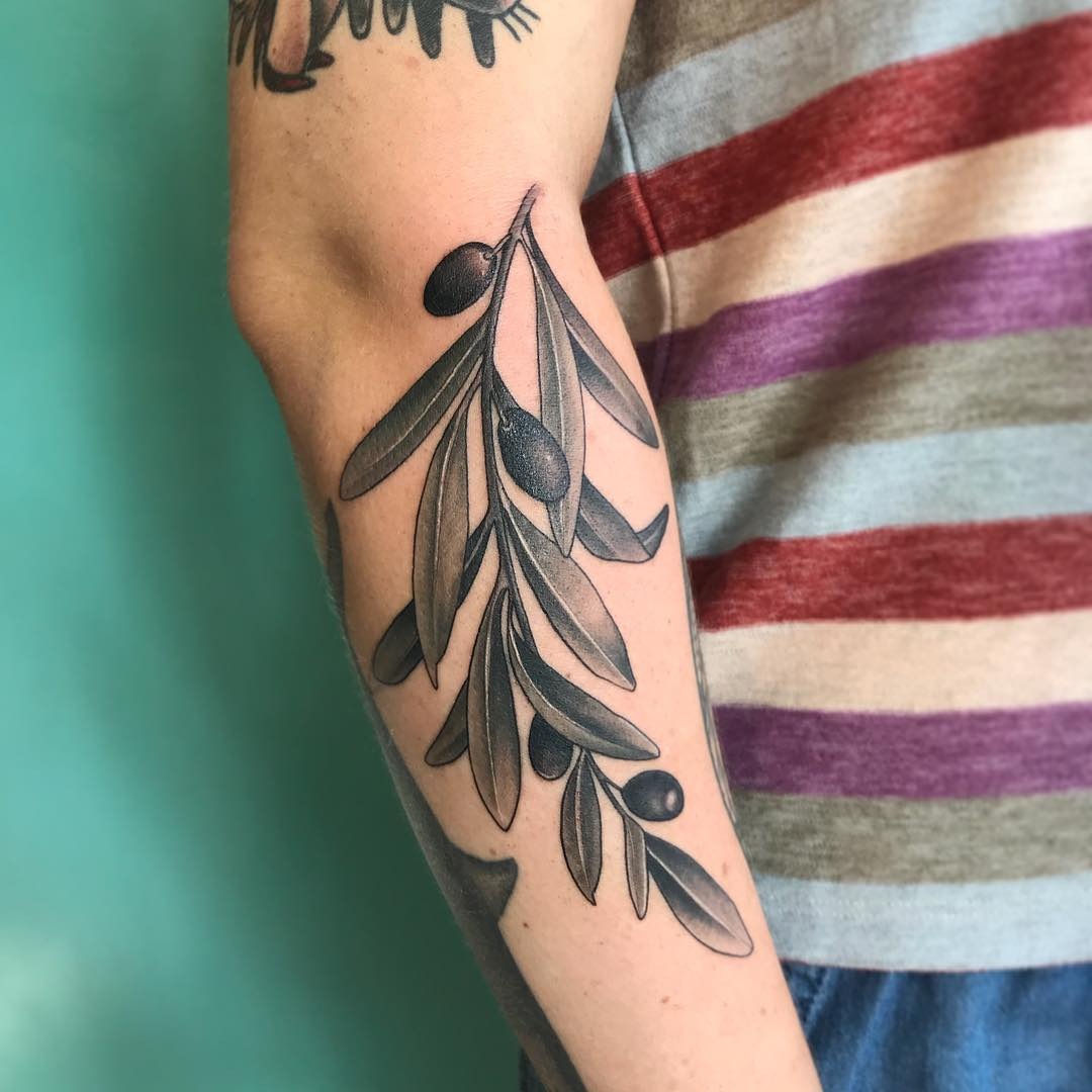 Elegant olive branch tattoo design on forearm Tattoo Design