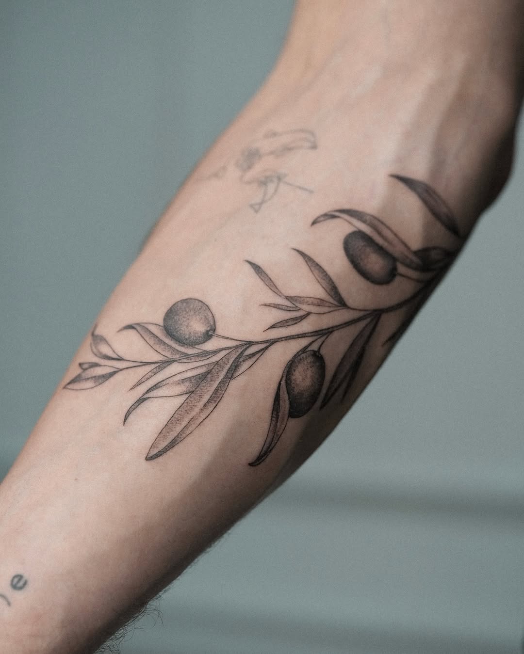 Elegant olive branch tattoo on forearm Tattoo Design