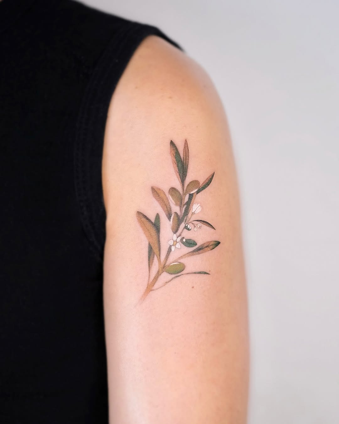 Elegant olive branch tattoo showcasing natural beauty Tattoo Design