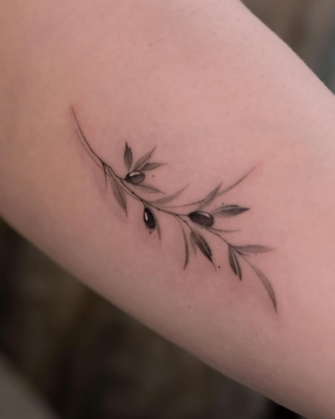 Elegant olive branch tattoo with delicate leaves Tattoo Design