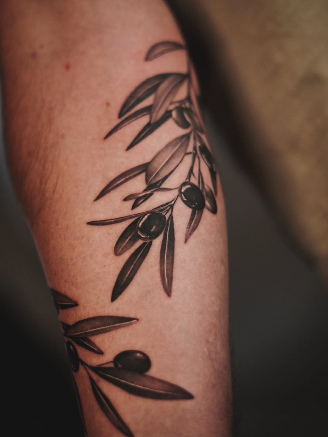 Elegant olive branch tattoo with realistic details. Tattoo Design