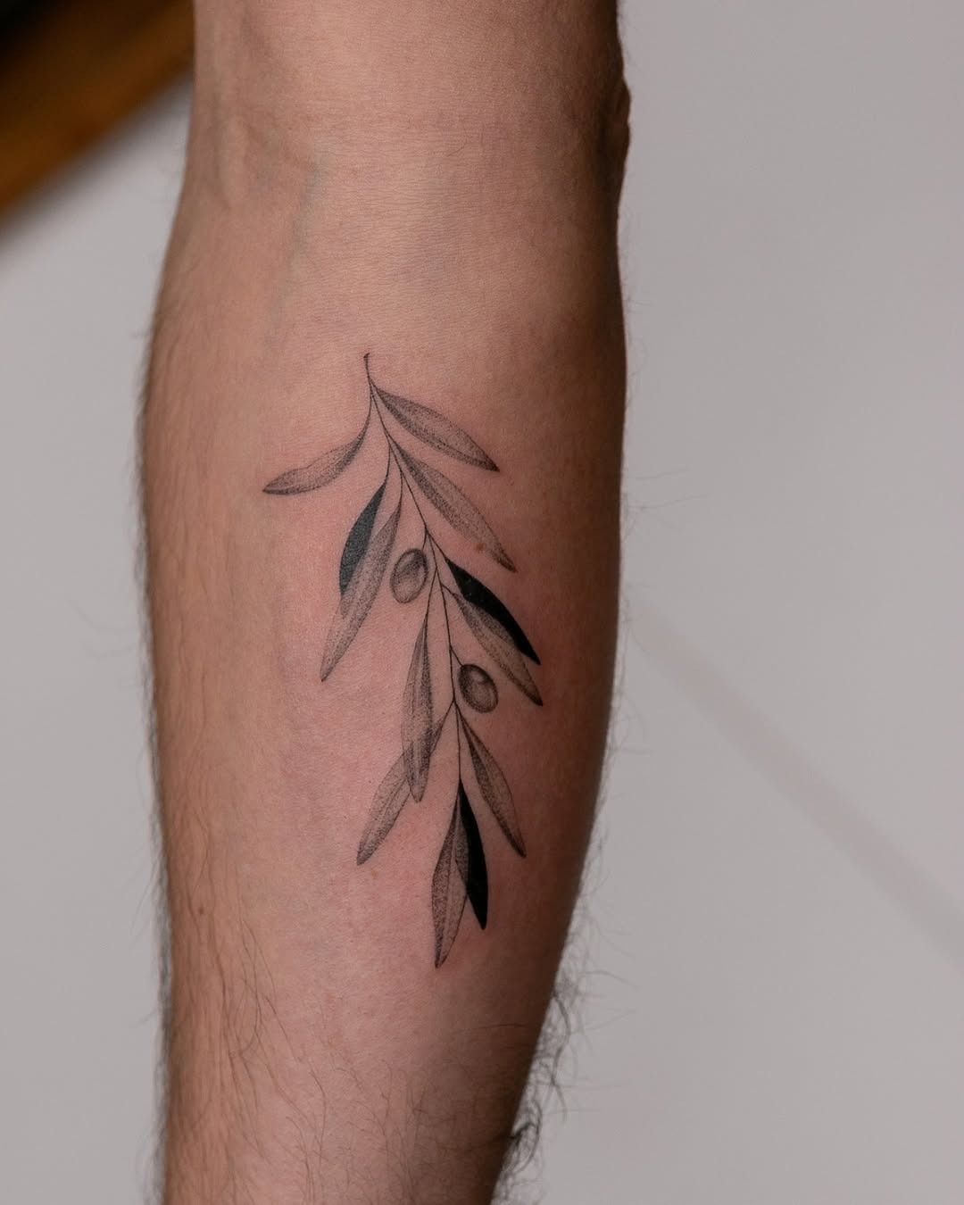 Elegant olive branch tattoo with rich symbolism Tattoo Design