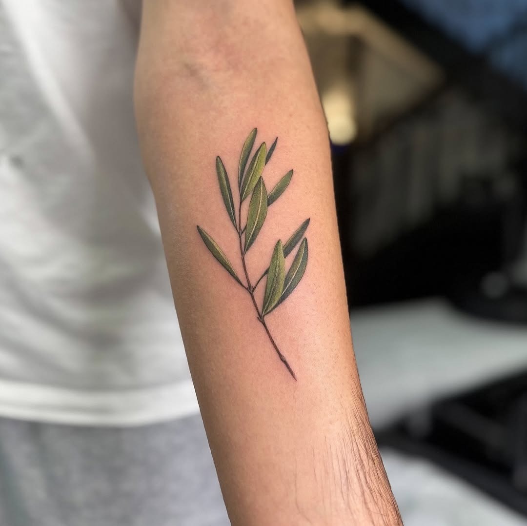 Trendy olive branch tattoo on forearm. Tattoo Design