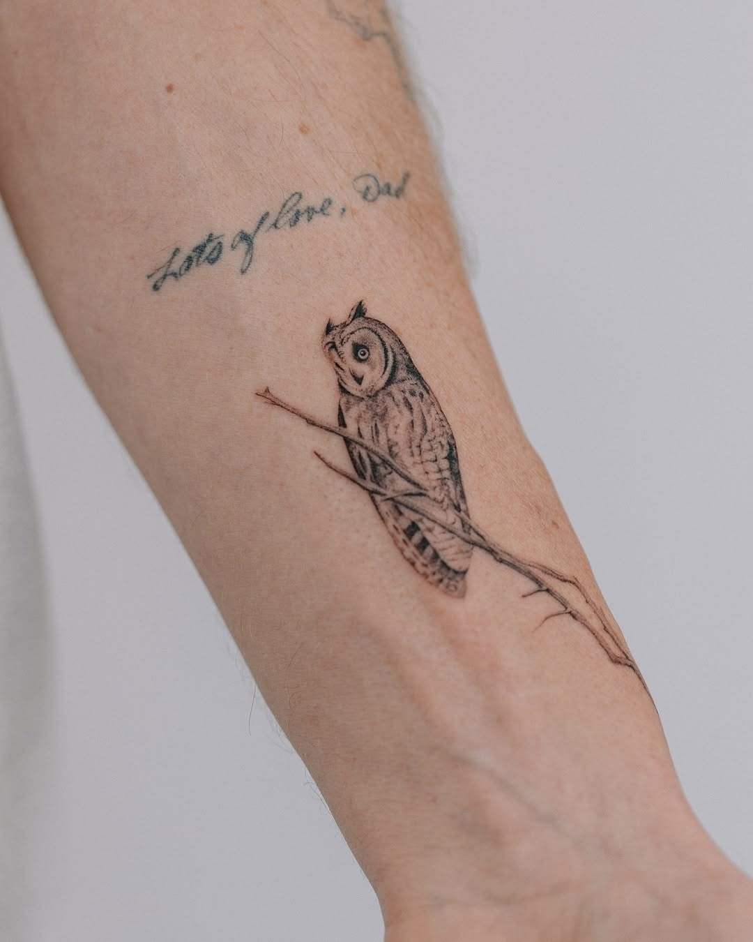 An elegant owl tattoo perched on a branch. Tattoo Design