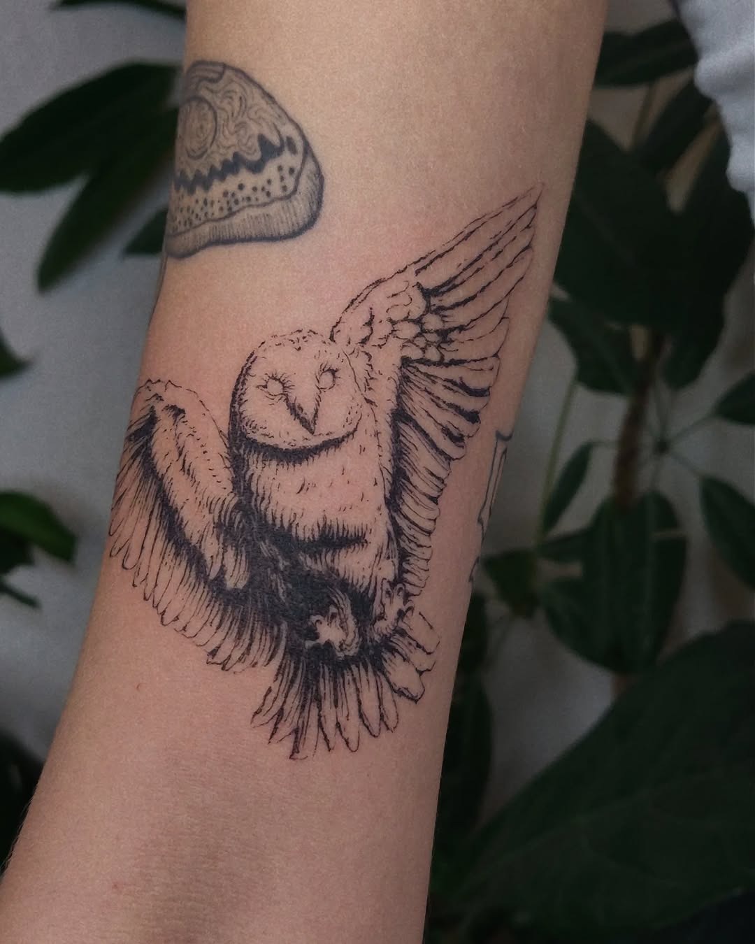 Captivating design of a flying owl tattoo Tattoo Design
