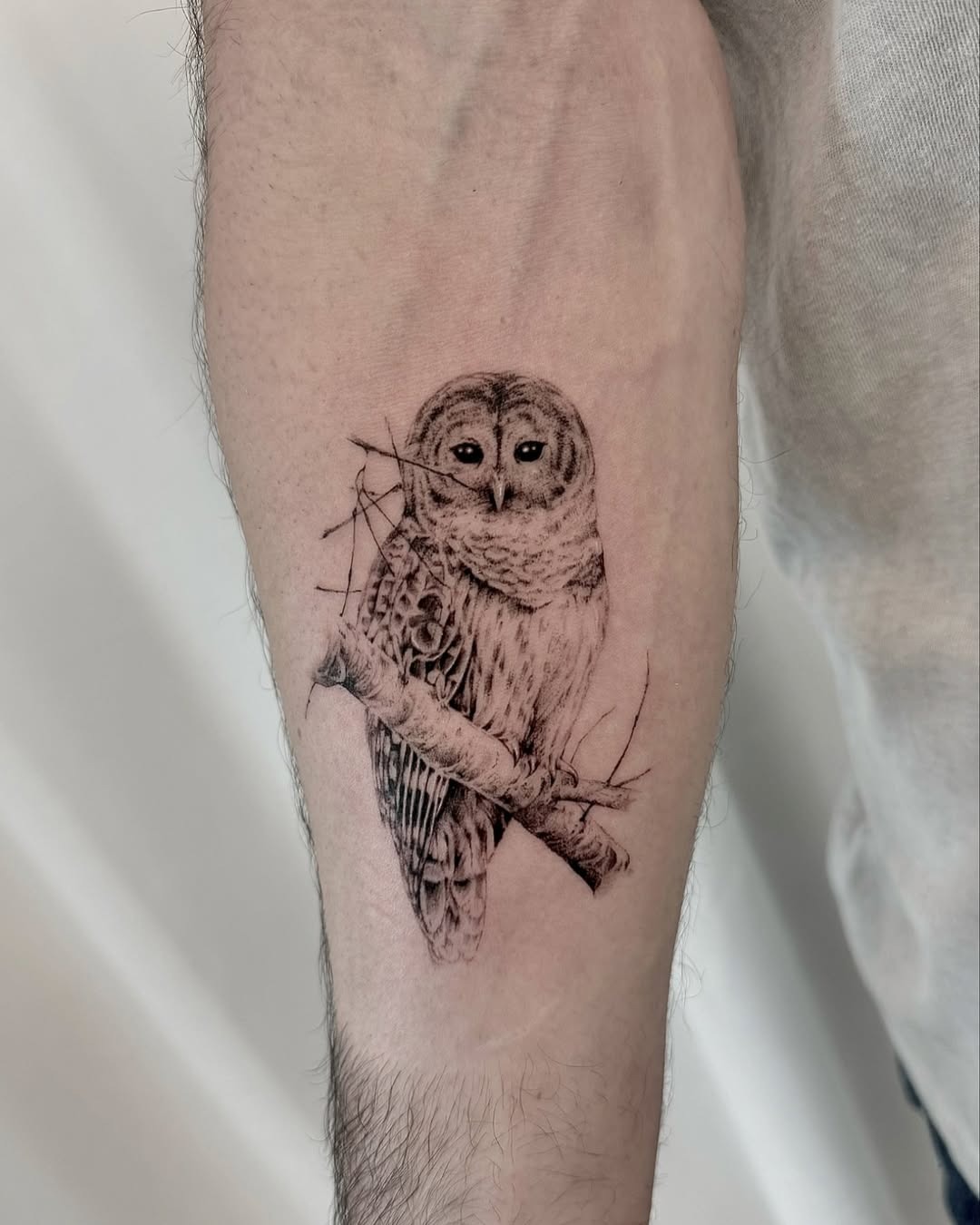 Realistic owl tattoo on a forearm Tattoo Design