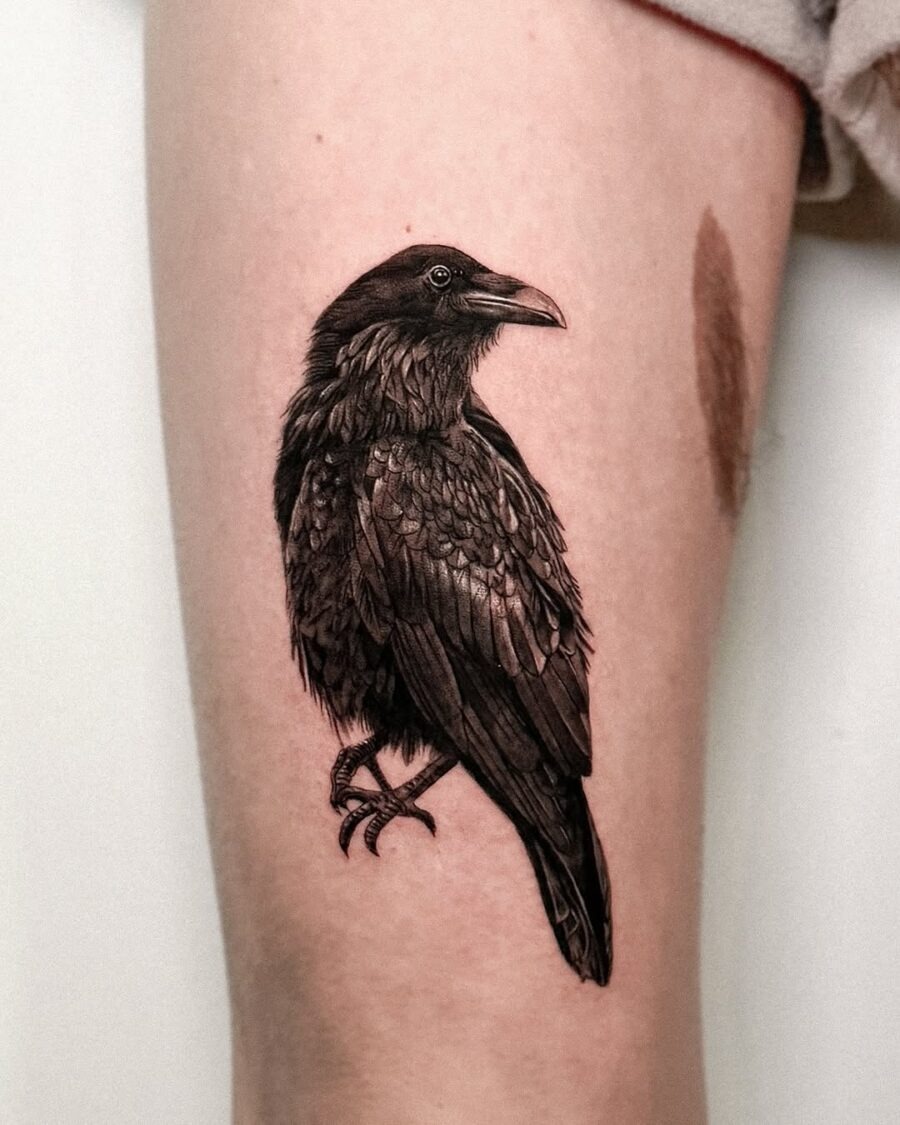 Realistic raven tattoo showcasing intricate details Tattoo Design