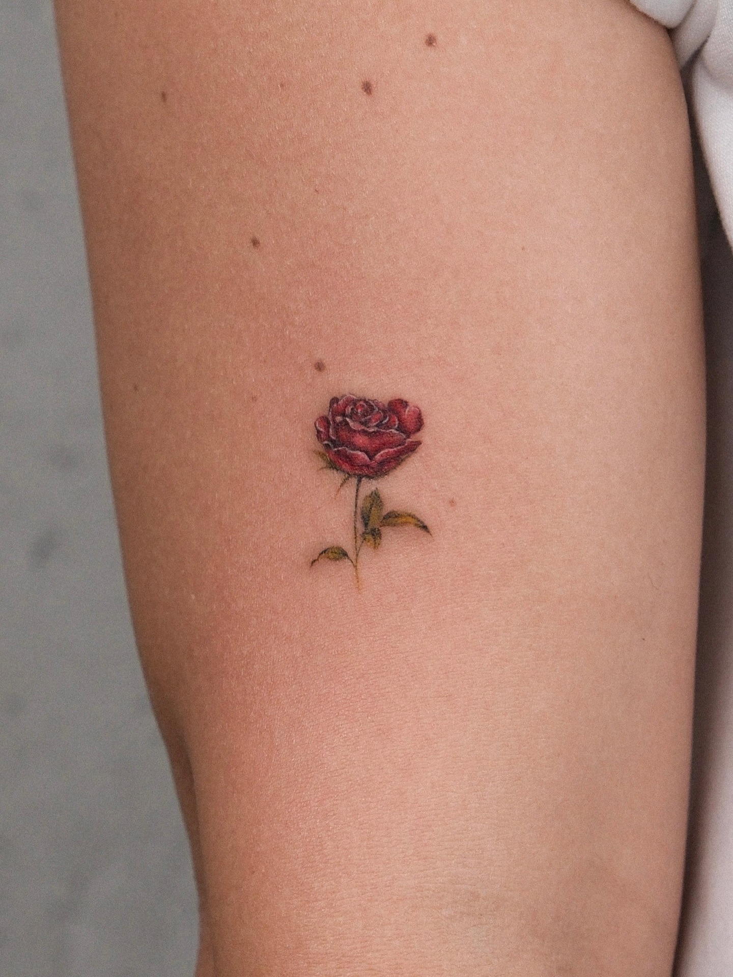 Small Realistic Red Rose Tattoo on Arm Tattoo Design
