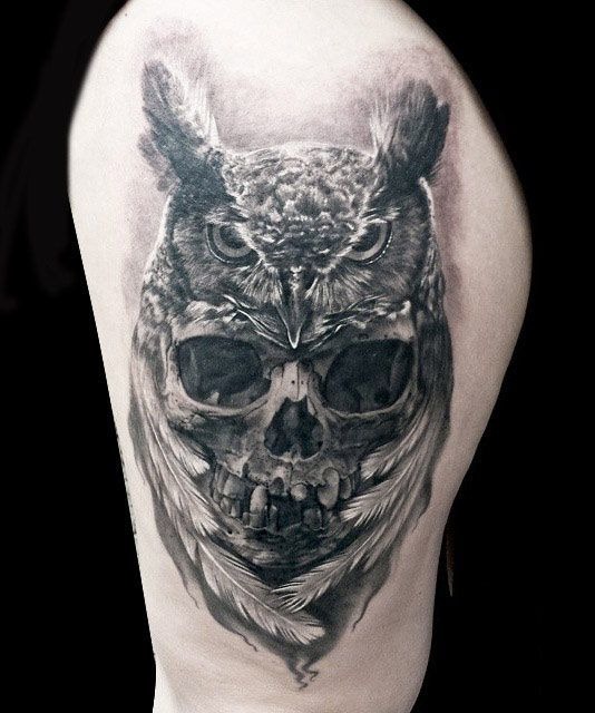 Owl and human skull tattoo design Tattoo Design