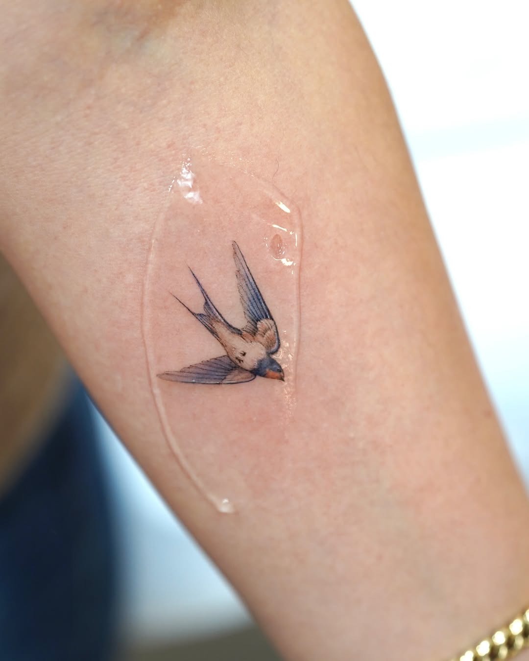 Delicate swallow tattoo on the arm Tattoo Design