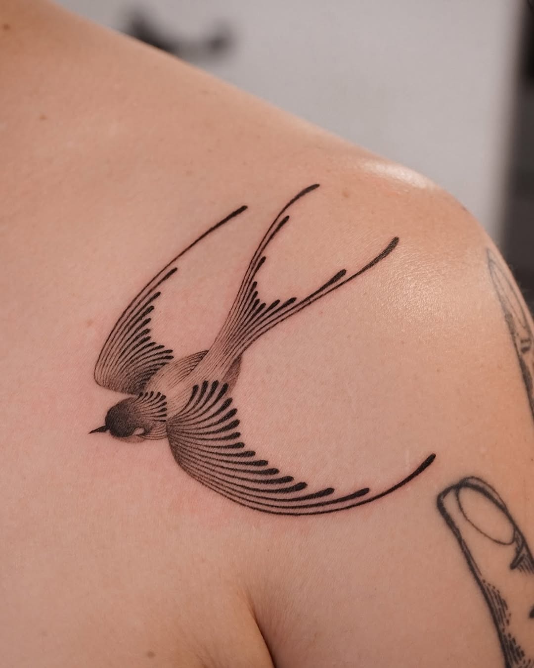 Elegant swallow tattoo design on shoulder Tattoo Design