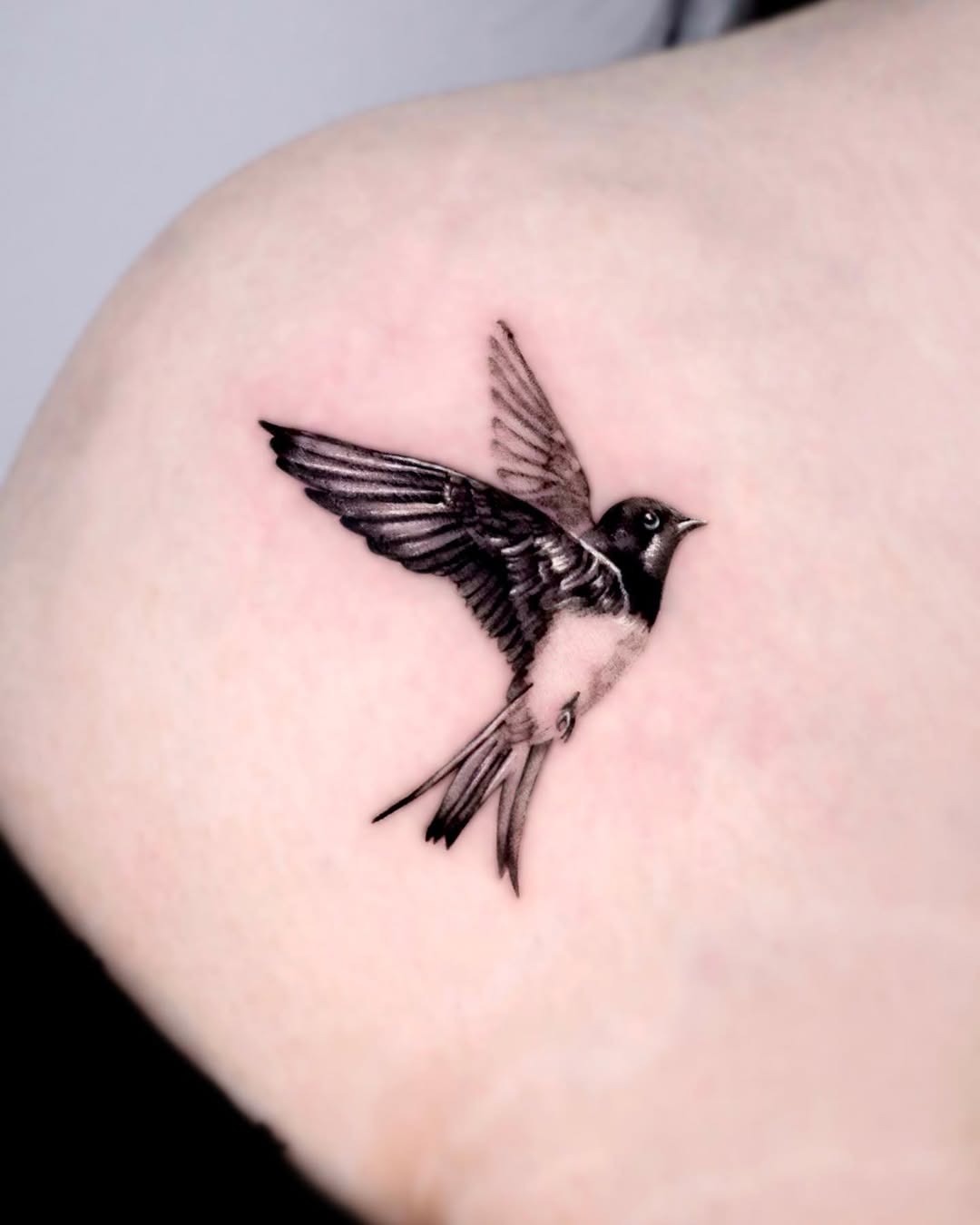 Elegant swallow tattoo in flight captures freedom. Tattoo Design