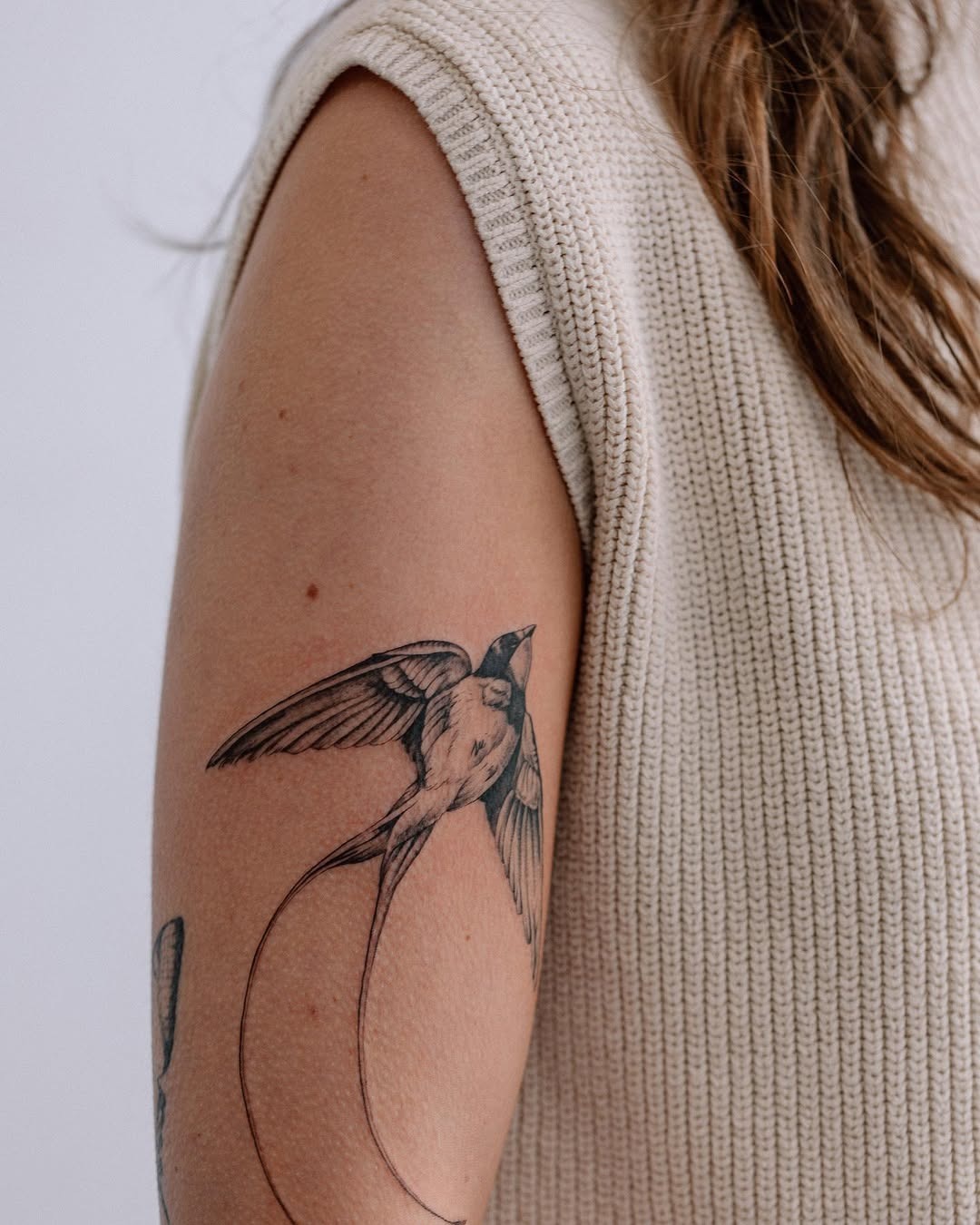 Elegant swallow tattoo with flowing lines Tattoo Design