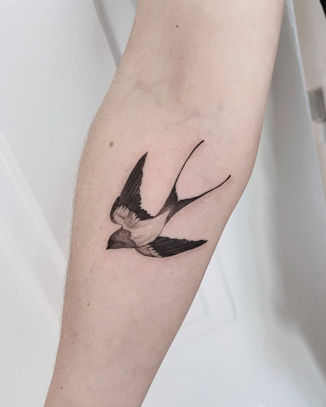 Elegant swallow tattoo with graceful wings Tattoo Design