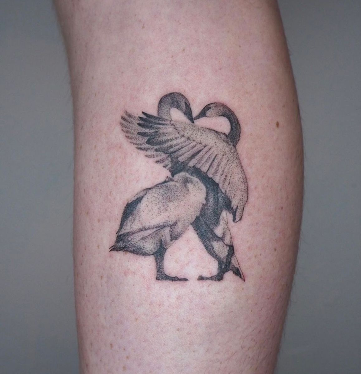 Black and White Swan Pair in Motion Tattoo Design