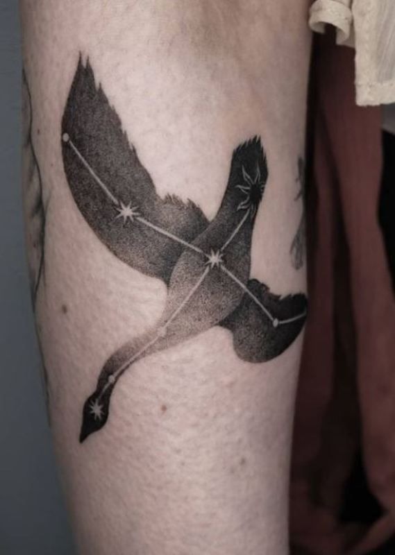 Celestial Flying Swan Constellation Tattoo Tattoo Design