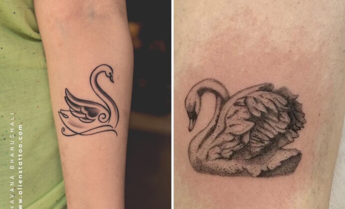 24+ Delicate Swan Tattoo Ideas That Feel Elegant Romantic and Unforgettable