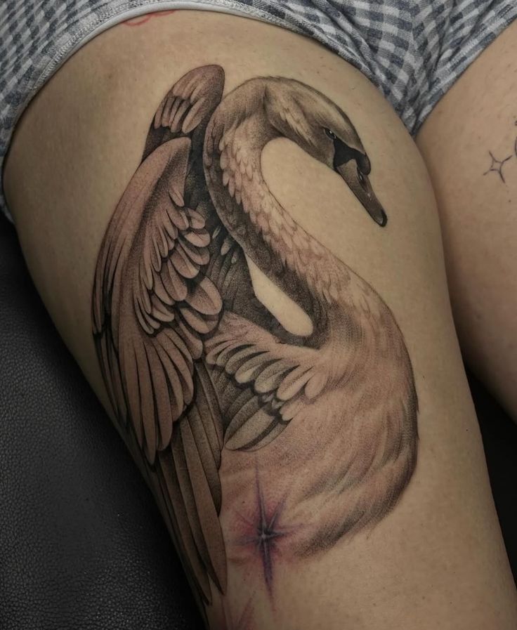 Realistic Black Swan With Open Wing Tattoo Design