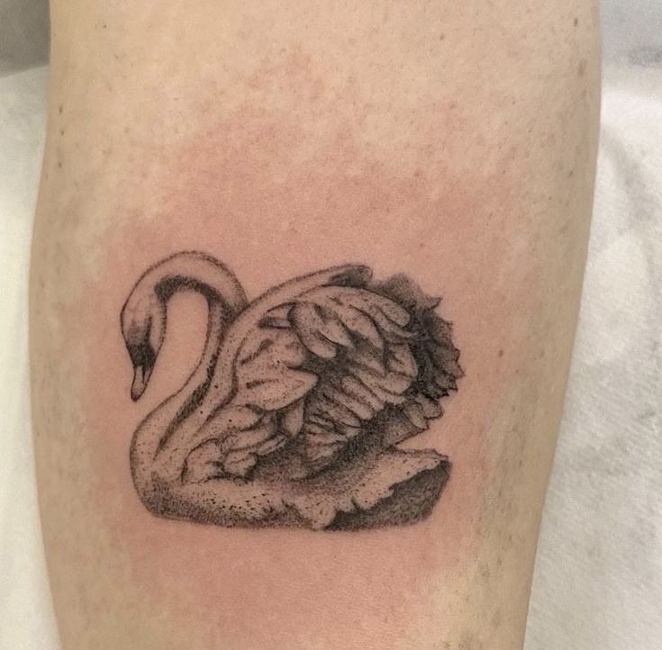 Soft Black and White Swan in Repose Tattoo Design
