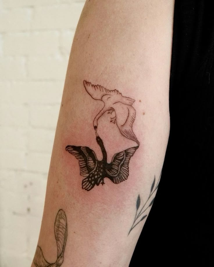 Two Swans in an Intimate Mirror Pose Tattoo Design