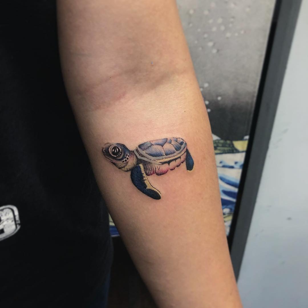 Charming realistic turtle tattoo on the forearm Tattoo Design