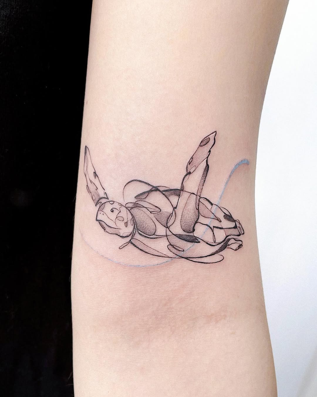Elegant Minimalist Turtle Tattoo Design Tattoo Design