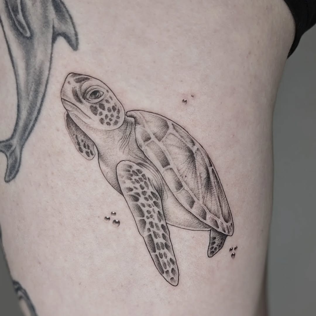 Elegantly crafted realistic turtle tattoo design Tattoo Design