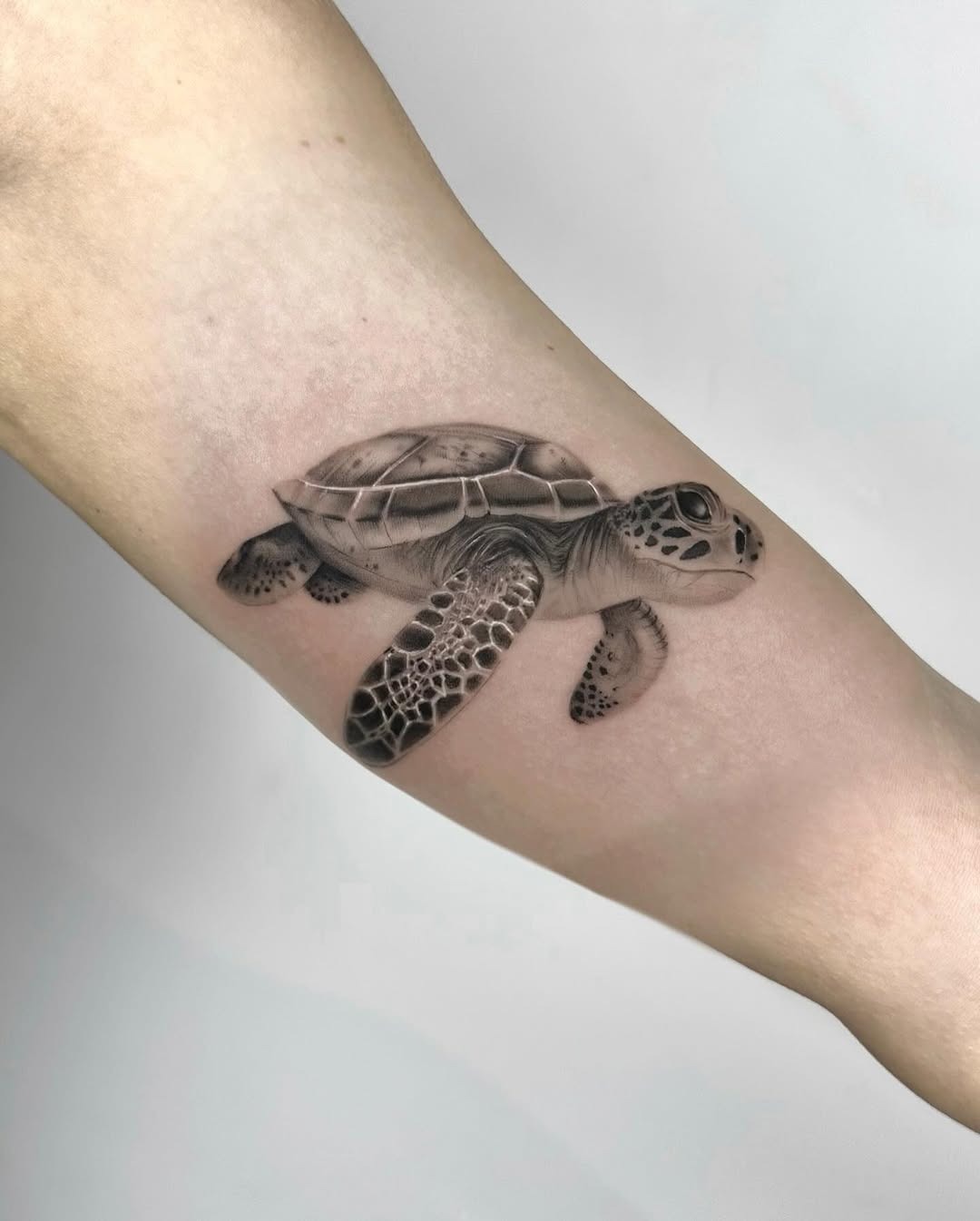 Stunning Realistic Sea Turtle Ink Design Tattoo Design