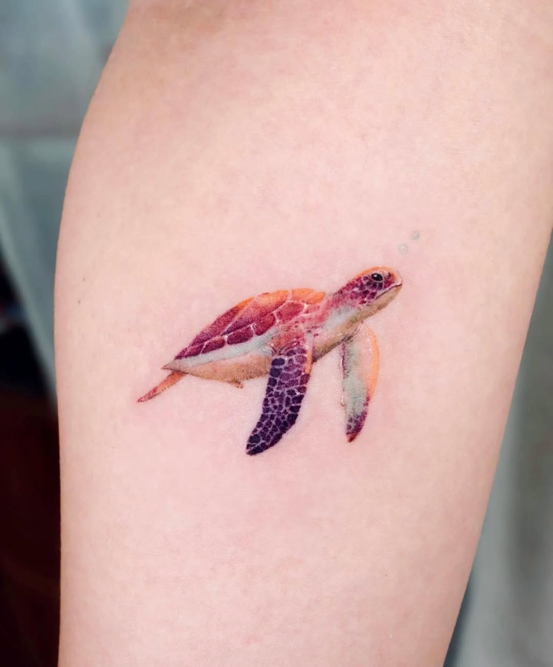 Stunning Realistic Sea Turtle Tattoo Design Tattoo Design