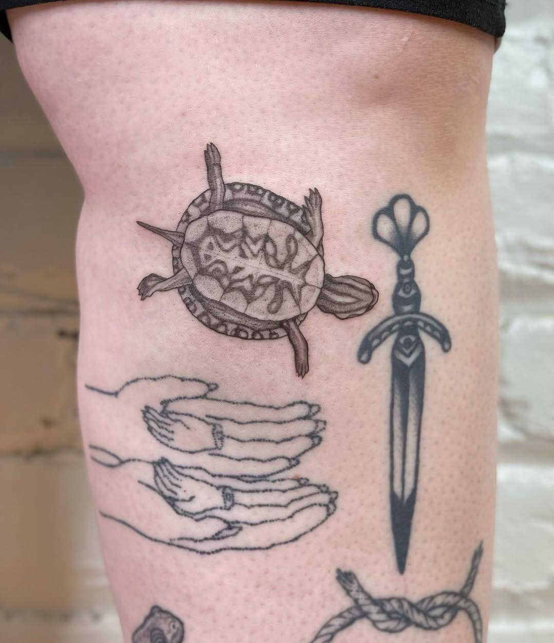 Stunning Realistic Turtle Tattoo Design Tattoo Design