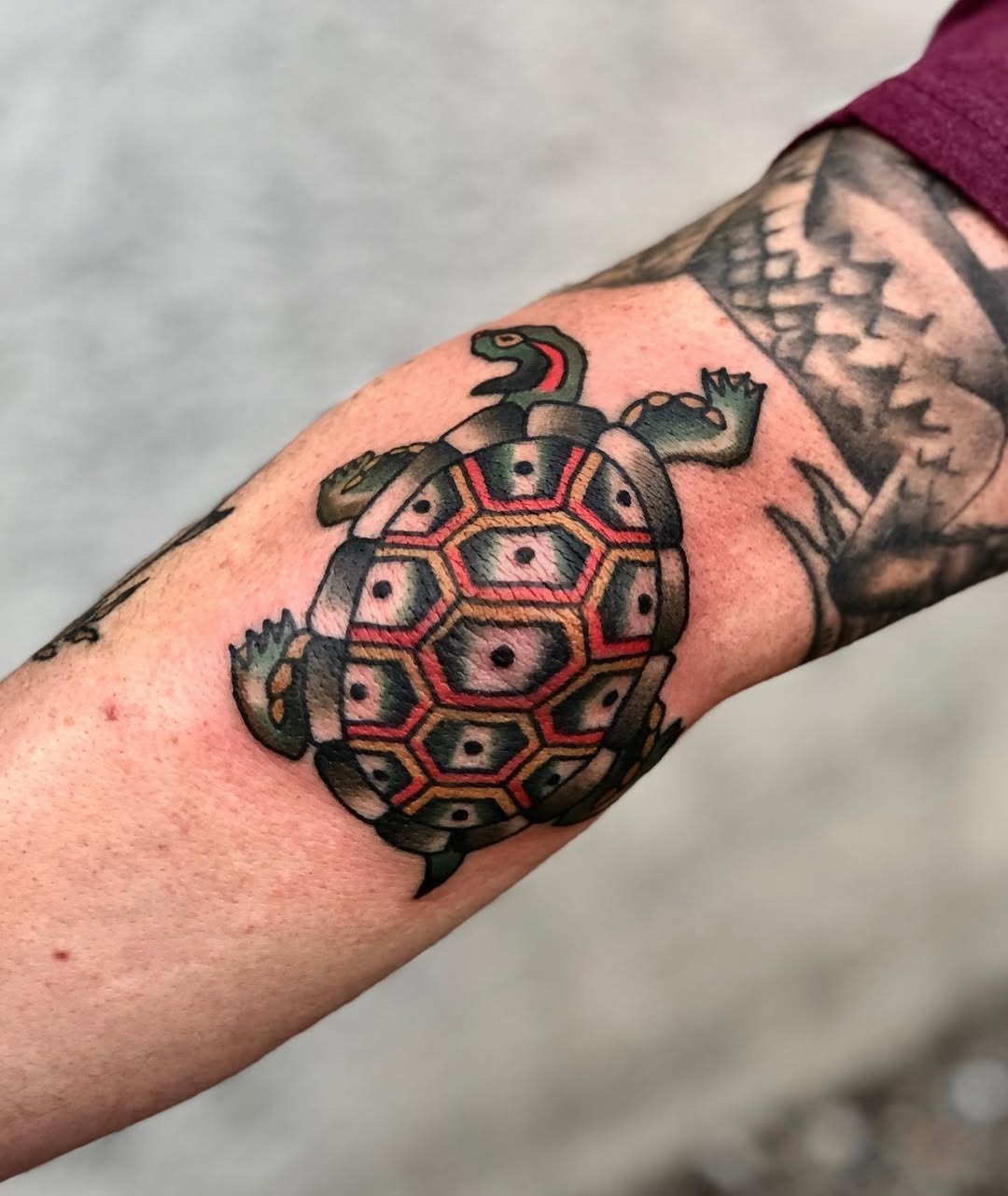 Vibrant Tribal Turtle Tattoo Design on Arm Tattoo Design